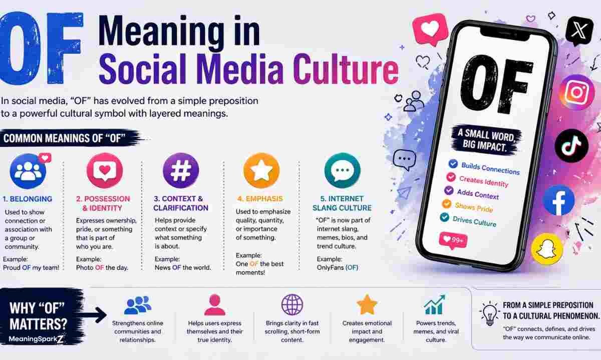 OF Meaning in Social Media Culture (1)