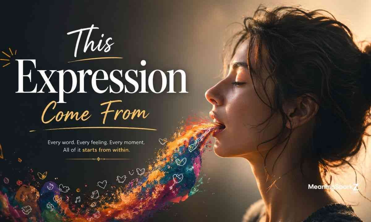 This Expression Come From (2)