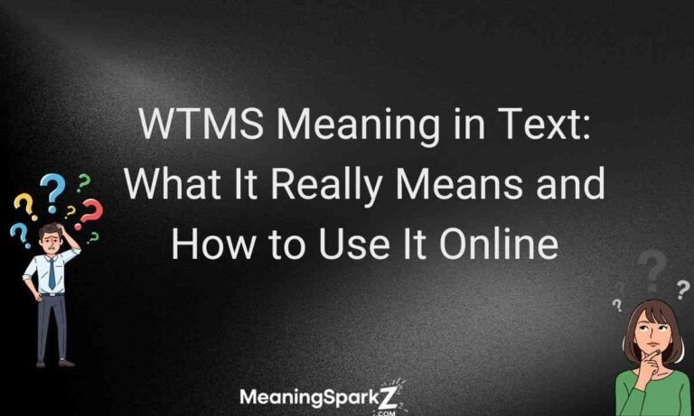 WTMS Meaning in Text What It Really Means and How to Use It Online (1)WTMS Meaning in Text What It Really Means and How to Use It Online (1)