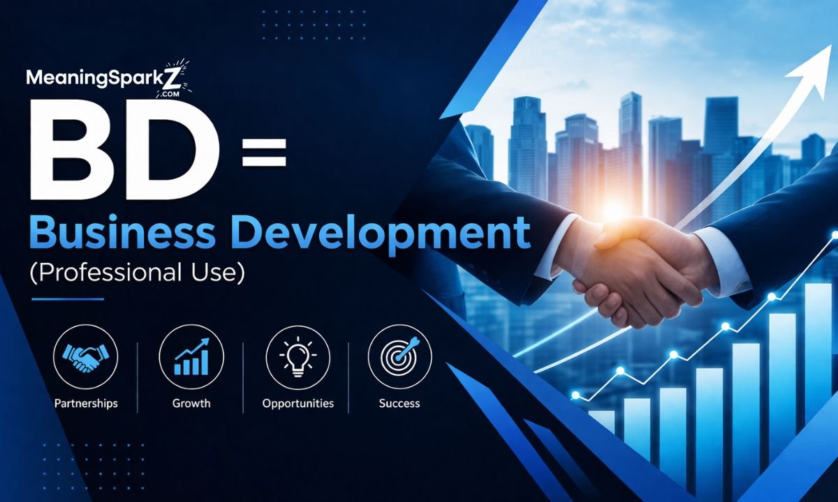 bd-business-development-professional-use
