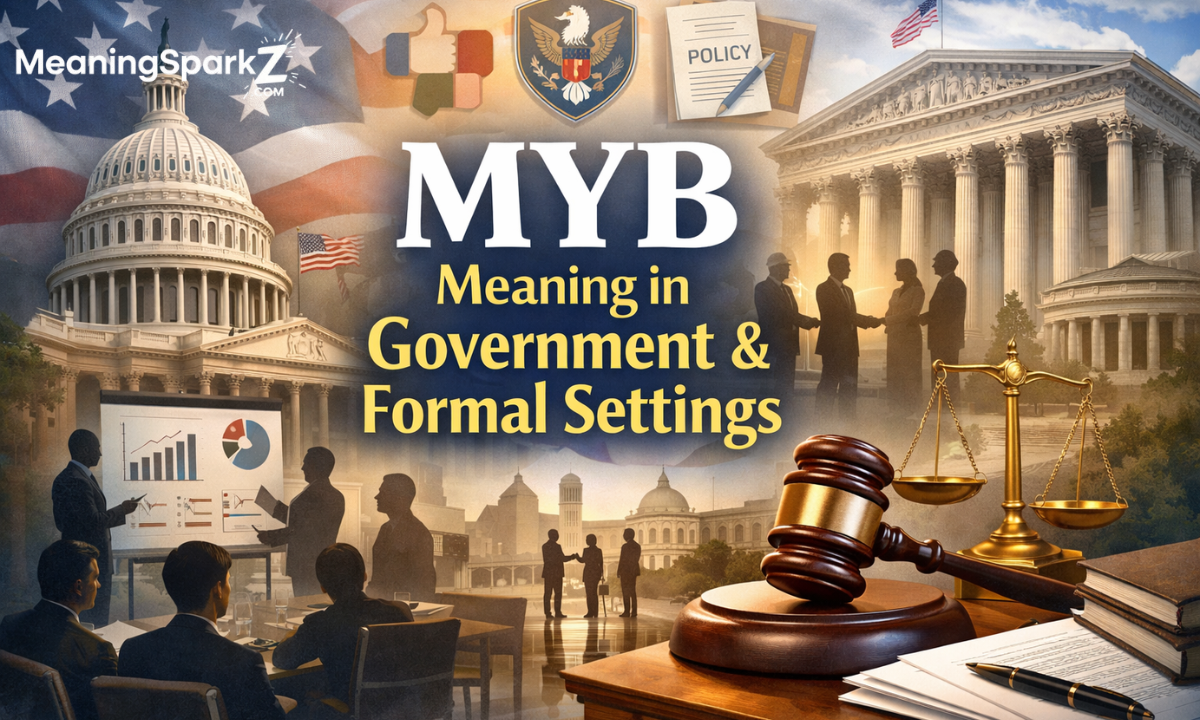 myb-meaning-in-government-and-formal-settings (1)