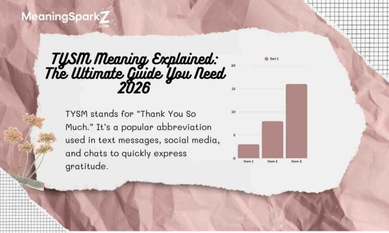 tysm-meaning-explained-the-ultimate-guide-you-need-2026 (2)