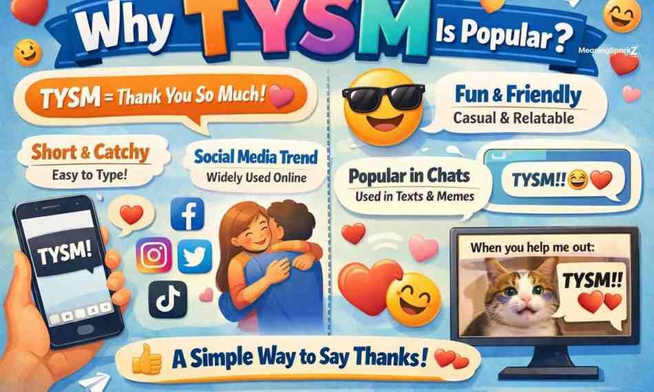 why-tysm-is-popular (1)