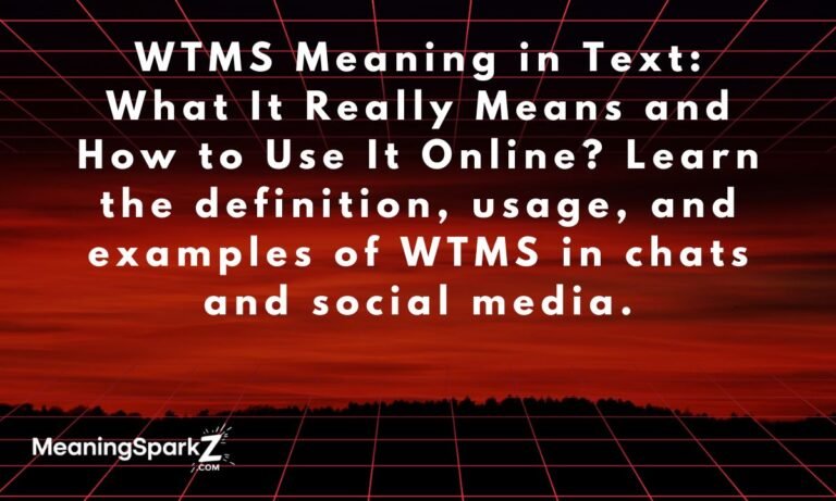 wtms-meaning-in-text-what-it-really-means-and-how-to-use-it-online