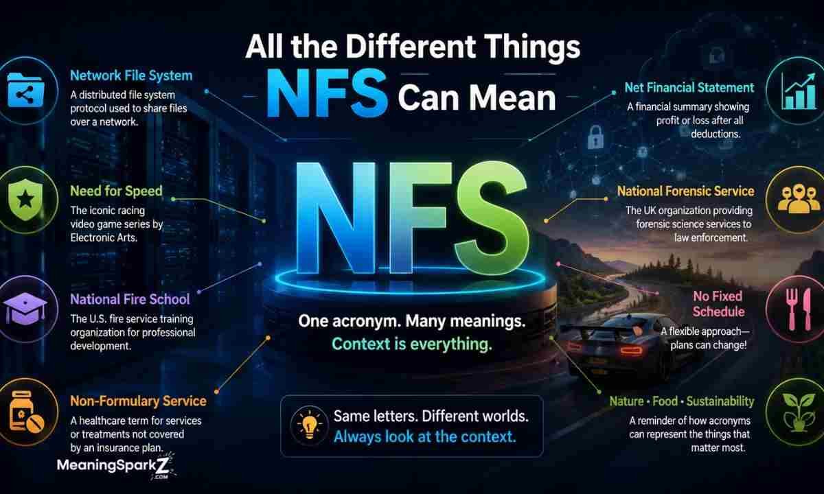 All the Different Things NFS Can Mean (1)