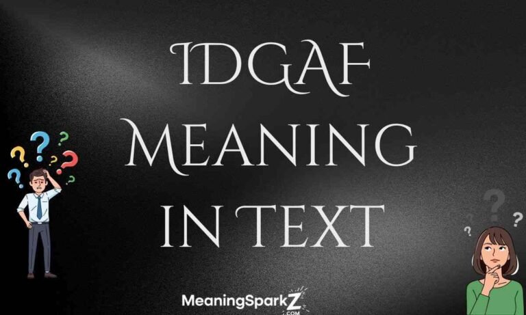 IDGAF Meaning in Text (1)