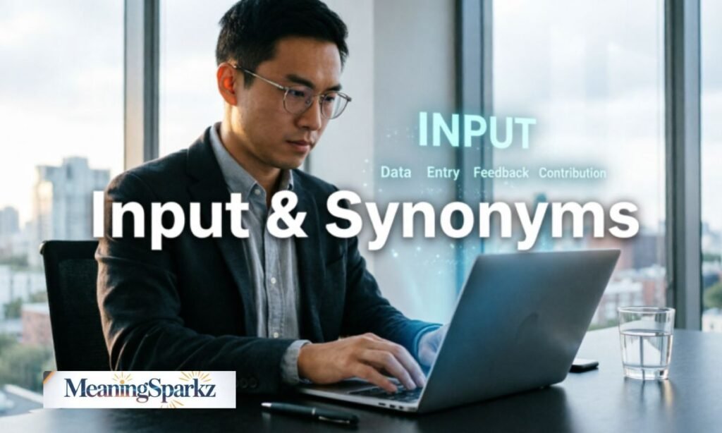 Input or imput synonym
