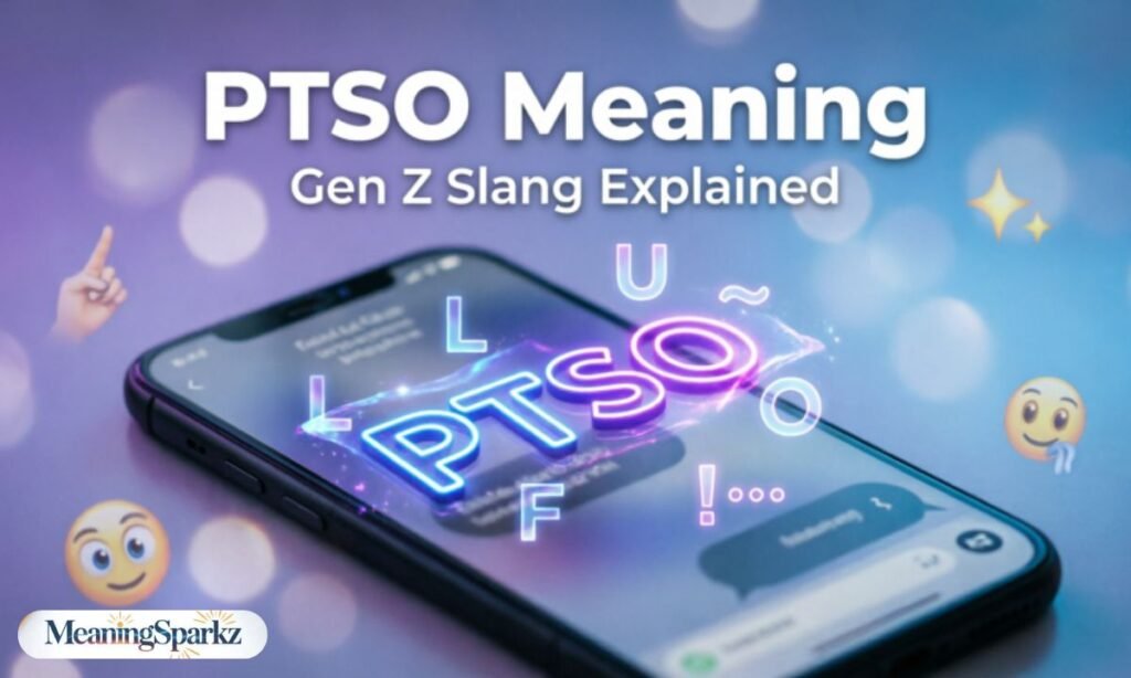 PTSO meaning gen z