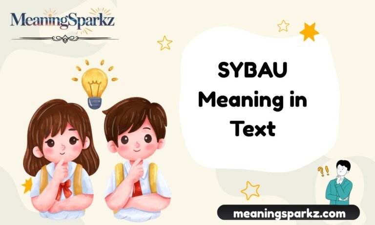 SYBAU Meaning in Text