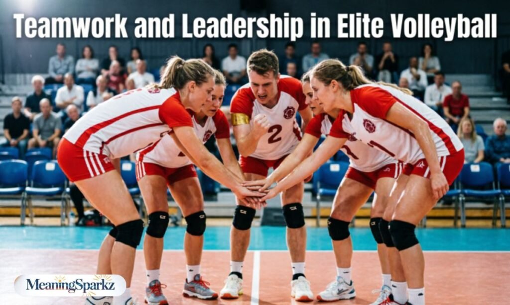 Teamwork and Leadership in Elite Volleyball